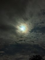 PXL_20220812_040612341.jpg