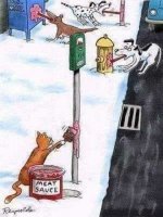 cats-painting-frozen-pole-meat-sauce-dog-tongues-stuck.jpg