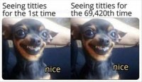 dog-seeing-titties-for-1st-time-nice-69420th-time-nice.jpg