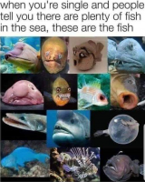 1660840212215.png