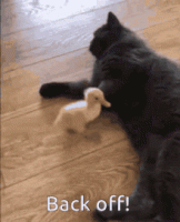 back-off-back-away.gif