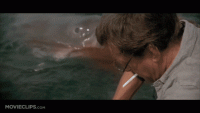 744126C0-7EBC-4942-87DA-BEA5D060DD7A.gif