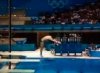 diving-fail-you-tried.jpg