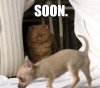 enhanced-buzz-28883-1301694280-0.jpg