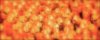 431590_2623231696030_1445745976_n.jpg