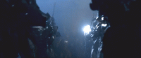 7E3EC5B2-9D19-4D02-A4C1-729CC870C60D.gif