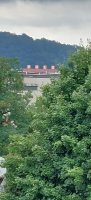20220719_094710.jpg