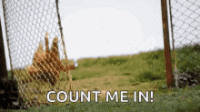 216482DB-919C-4C7D-BFBC-8E78EE35D3F3.gif