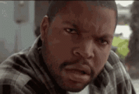 1662003680596.gif