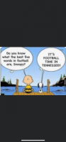 02B2D387-4709-407D-91F3-CC286B688643.png