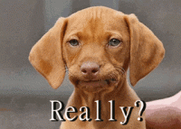 1662059414709.gif