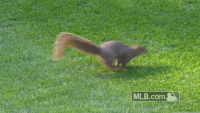 1035BBD8-02FA-4CA8-B541-7300974FEF1D.gif