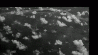 VictoriousCaringAlpaca-max-1mb.gif