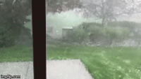 32tfjx.gif