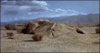 1662572018407.gif