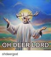 1662817809820.png