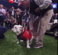1662834310853.gif