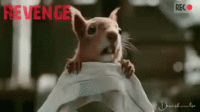 1662860147523.gif