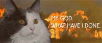 1662905943547.gif