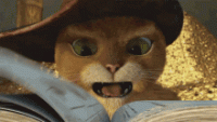 1662912864784.gif