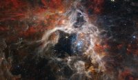 image_11167_1-Tarantula-Nebula.jpg image_11167_1-Tarantula-Nebula.jpg