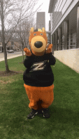 XevjKgltrWfIQsP2ru.gif