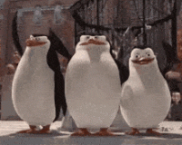 1663275155152.gif