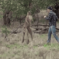 1663280165601.gif