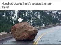FB_IMG_1663337780177.jpg