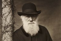 Charles-Darwin-3000-3x2gty-56a4890a3df78cf77282ddaf.jpeg