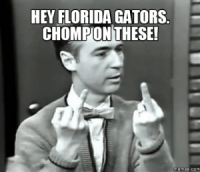thumb_hey-florida-gators-chomponthese-memes-com-florida-gators-memes-49144816.png
