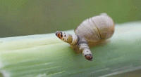 1663356305685.gif
