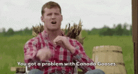 letterkenny-canada-gooses.gif