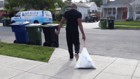 giphy (10).gif