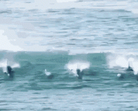 78E22C34-30D9-4937-A677-0C4D5B309AE3.gif