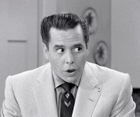 giphy (1).gif