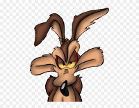 Collection Of Wile E High Quality - Coyote Looney Tunes Face Clipart (#1391987) - PinClipart.jpeg