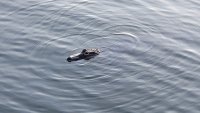 20220921_190646.jpg