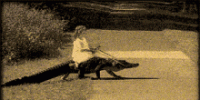1BA22FE4-A356-4732-AE0D-5BA8647458B8.gif