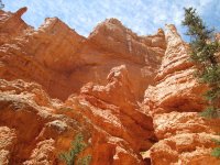 orange-rock-wall-pasha-sourbeer.jpg