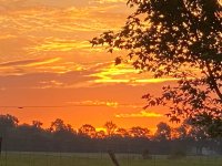 Tennessee Sunrise.jpg