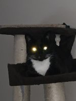 13B7E11A-C62F-4CE5-9F56-50AF3B0034A7.jpeg
