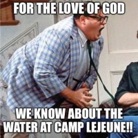 camplejeune.jpeg