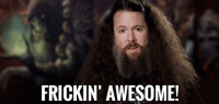 1665116159950.gif