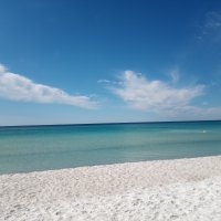 IMG_20221009_112501.jpg