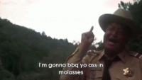 smokey-and-the-bandit-comedy.gif