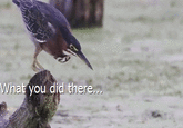 i see.gif