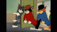 85E2538B-EA58-4136-8309-FEEAAE76073E.gif