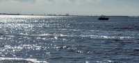 20221011_094627.jpg