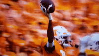 20221015_164555_1.gif